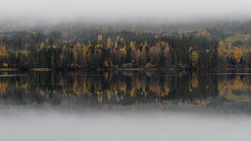 IMG 7368