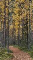 IMG 7501