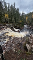 IMG 7498
