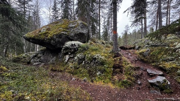 IMG 7440