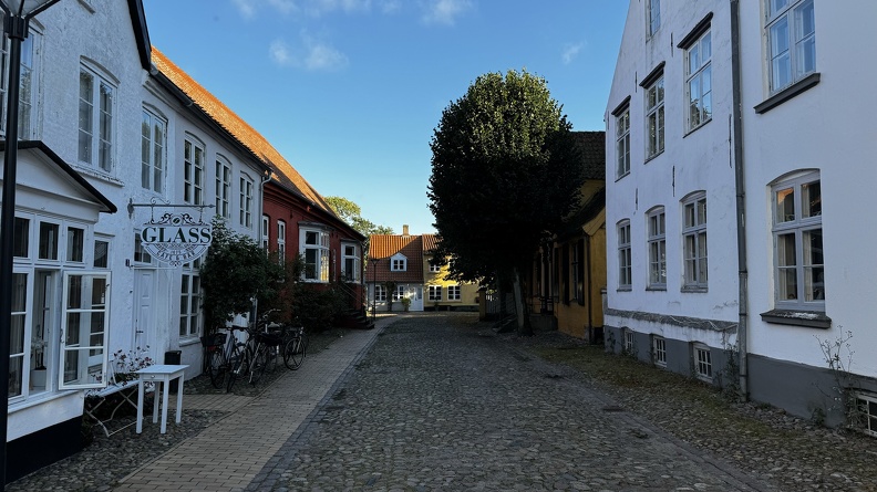 IMG_5566.jpeg