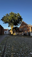 IMG 5572