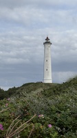 IMG 5694