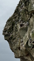 IMG 5846