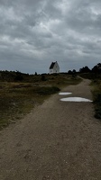IMG 5918