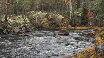 IMG 7453