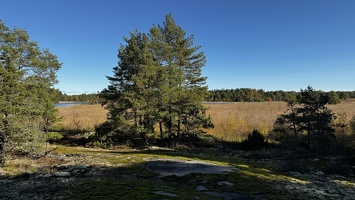IMG 7547