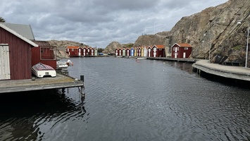 IMG 7583