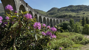 IMG 8523