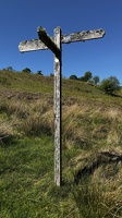 IMG 8747