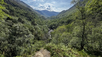 IMG 8555