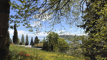 IMG 0647