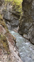 IMG 0866