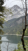 IMG 0958