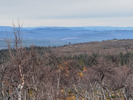 IMG 7088