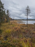 IMG 7216
