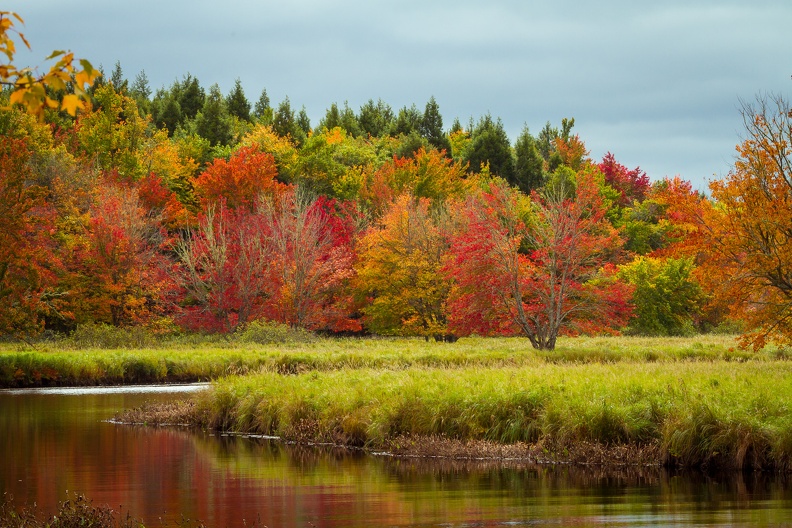 Kejimkujik National Park & Historic Site _MG_6941.jpg