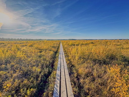 Storre Mosse Natonalpark